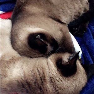 Meet your Posher, Catherine